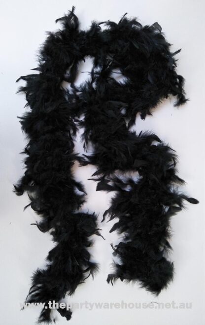 Black Feather Boa