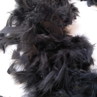Black Feather Boa