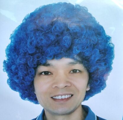 Blue Clown Wig