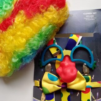 Clown Costume Kit with Wig