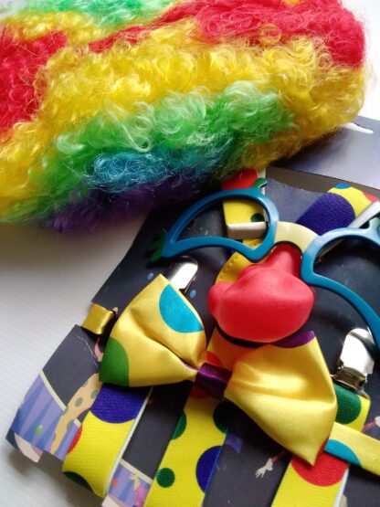 Clown Costume Kit with Wig